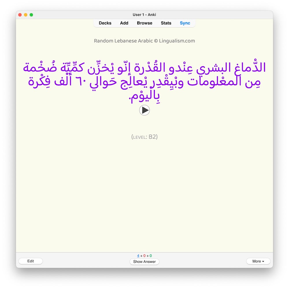 random-la-b2-anki-preview-1