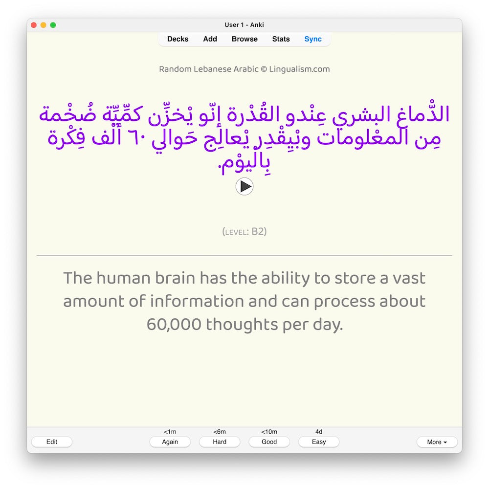 random-la-b2-anki-preview-2