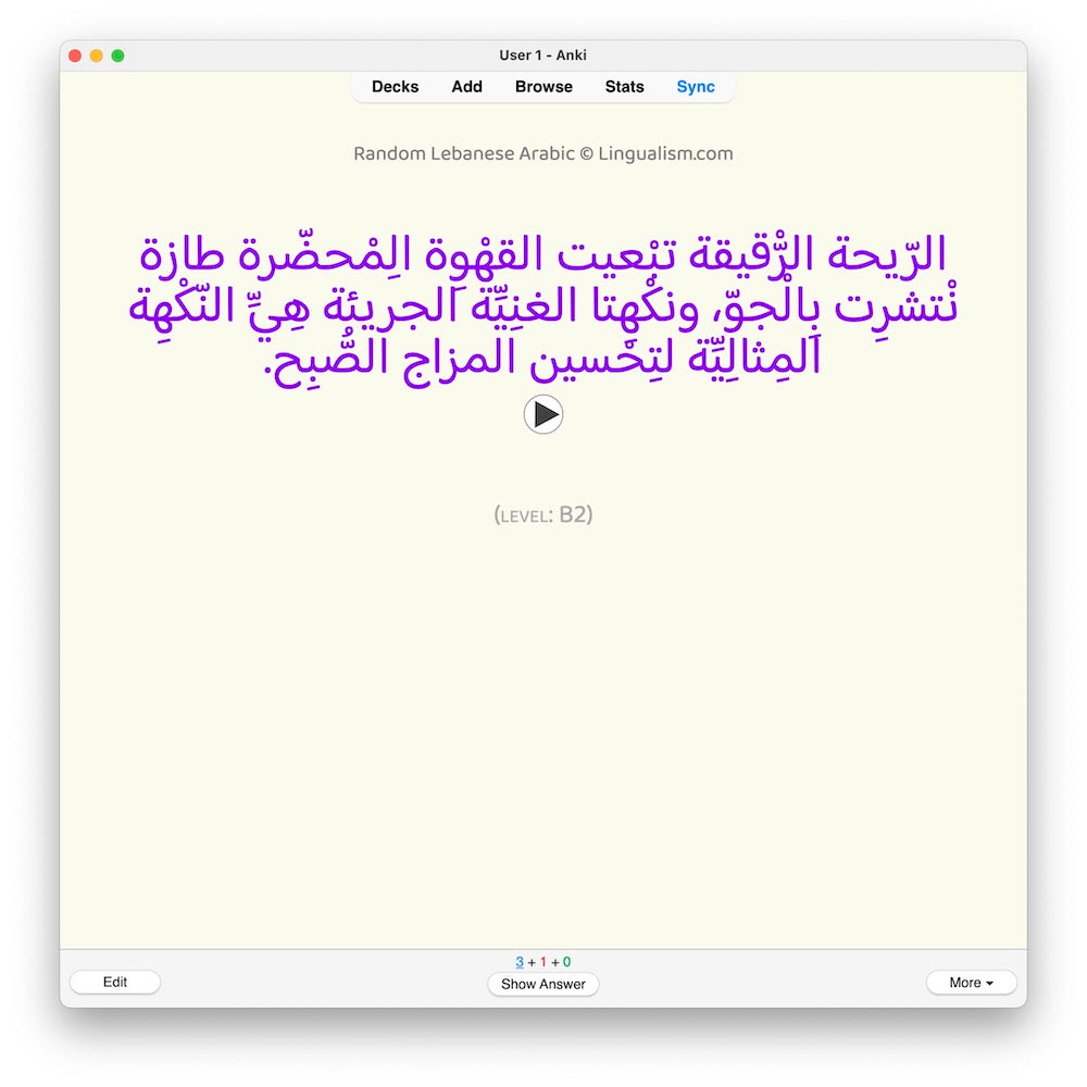 random-la-b2-anki-preview-3