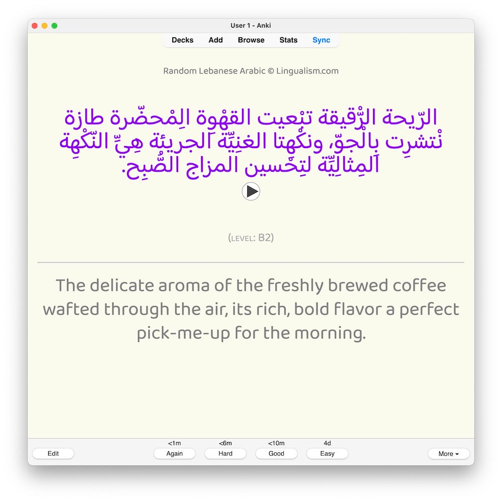 random-la-b2-anki-preview-4