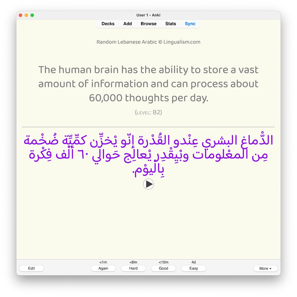 random-la-b2-anki-preview-6