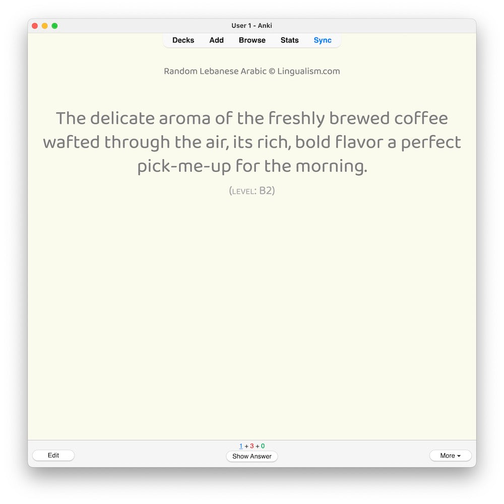 random-la-b2-anki-preview-7