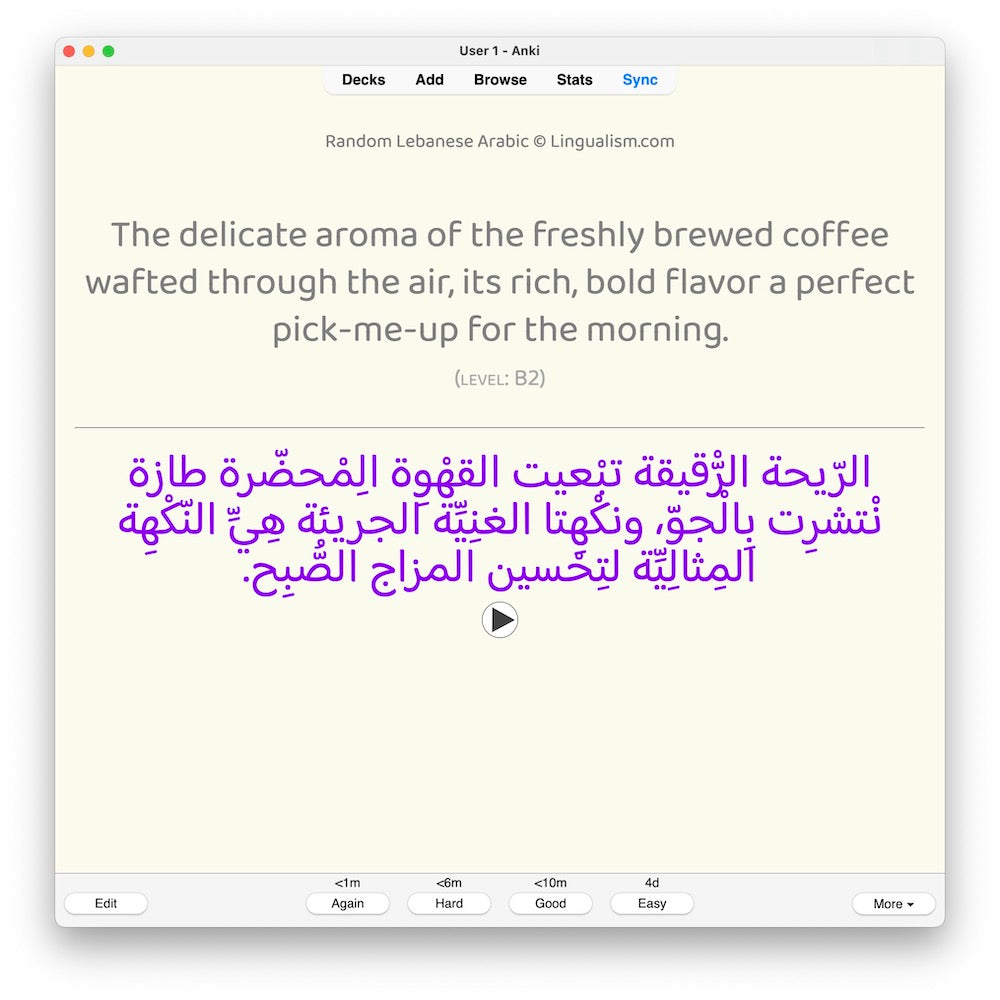 random-la-b2-anki-preview-8