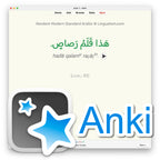 Random Modern Standard Arabic A1: Anki Flashcards