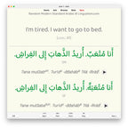 Random Modern Standard Arabic A1: Anki Flashcards