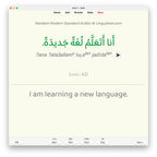 Random Modern Standard Arabic A2: Anki Flashcards