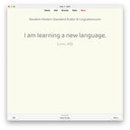 Random Modern Standard Arabic A2: Anki Flashcards