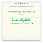 Random Modern Standard Arabic A2: Anki Flashcards