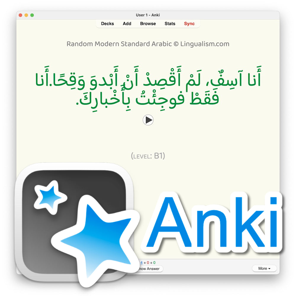 Random Modern Standard Arabic B1: Anki Flashcards