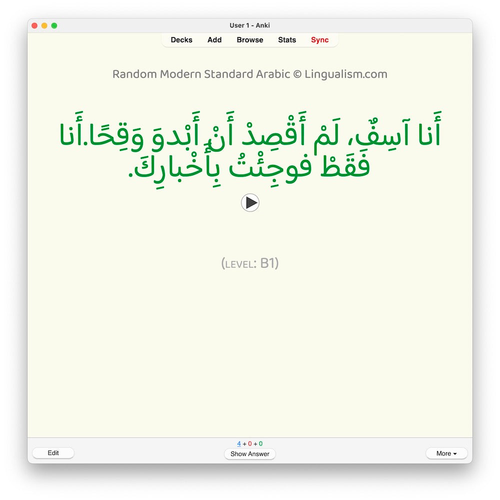 Random Modern Standard Arabic B1: Anki Flashcards