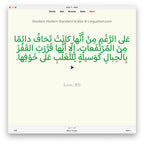 Random Modern Standard Arabic B1: Anki Flashcards