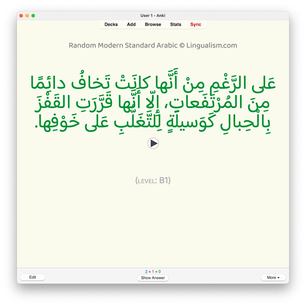 Random Modern Standard Arabic B1: Anki Flashcards