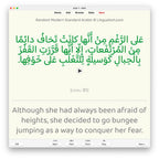 Random Modern Standard Arabic B1: Anki Flashcards