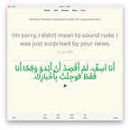 Random Modern Standard Arabic B1: Anki Flashcards