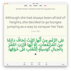 Random Modern Standard Arabic B1: Anki Flashcards