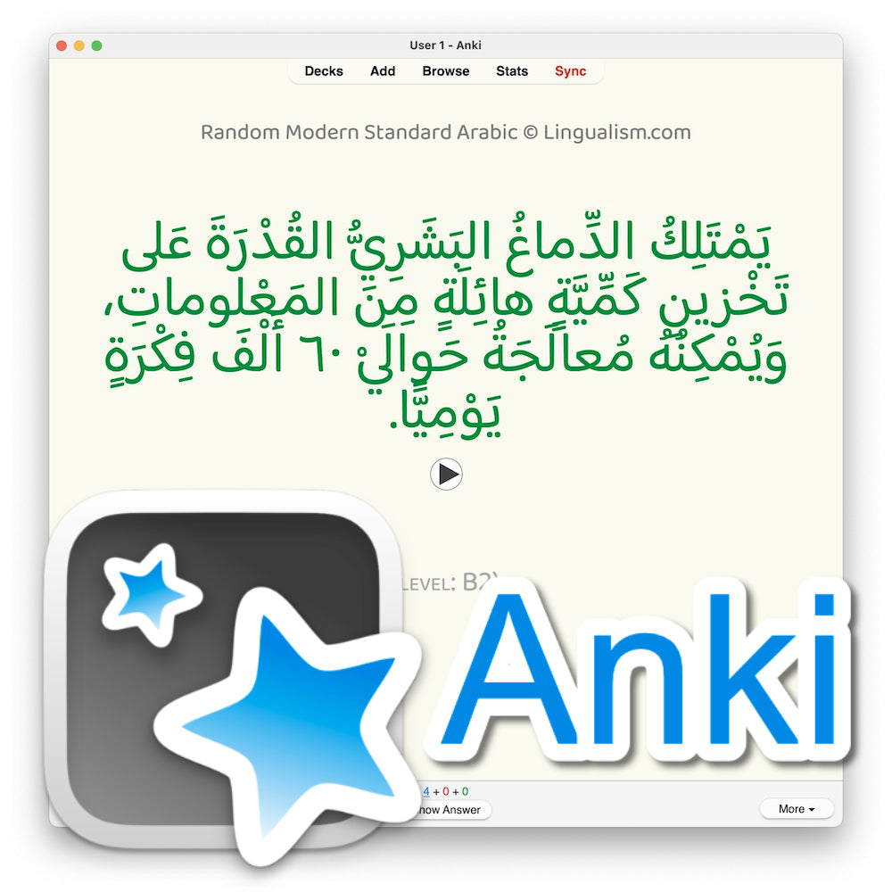 Random Modern Standard Arabic B2: Anki Flashcards