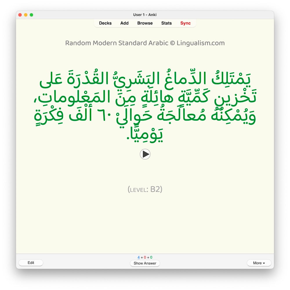 Random Modern Standard Arabic B2: Anki Flashcards