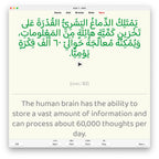 Random Modern Standard Arabic B2: Anki Flashcards