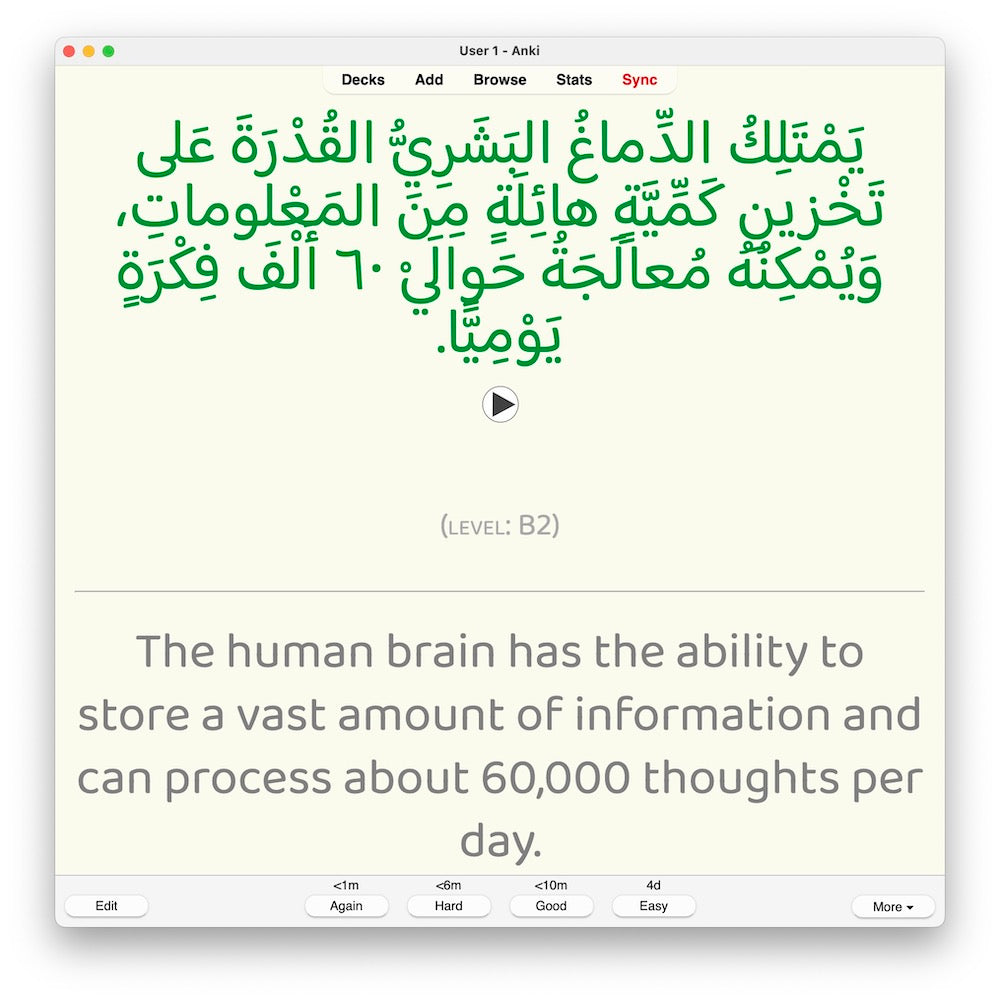 Random Modern Standard Arabic B2: Anki Flashcards