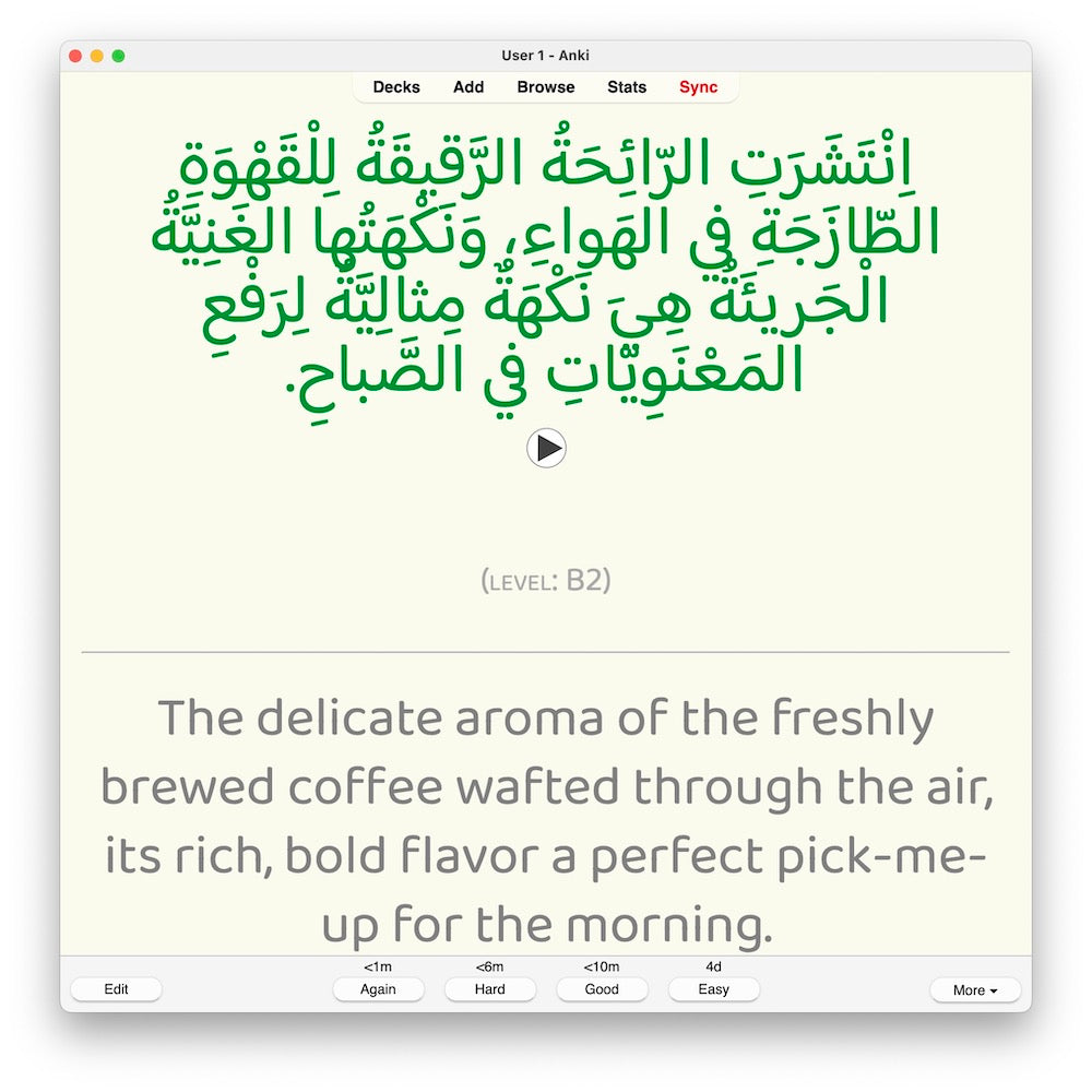 Random Modern Standard Arabic B2: Anki Flashcards