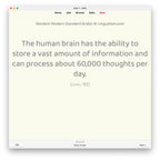 Random Modern Standard Arabic B2: Anki Flashcards