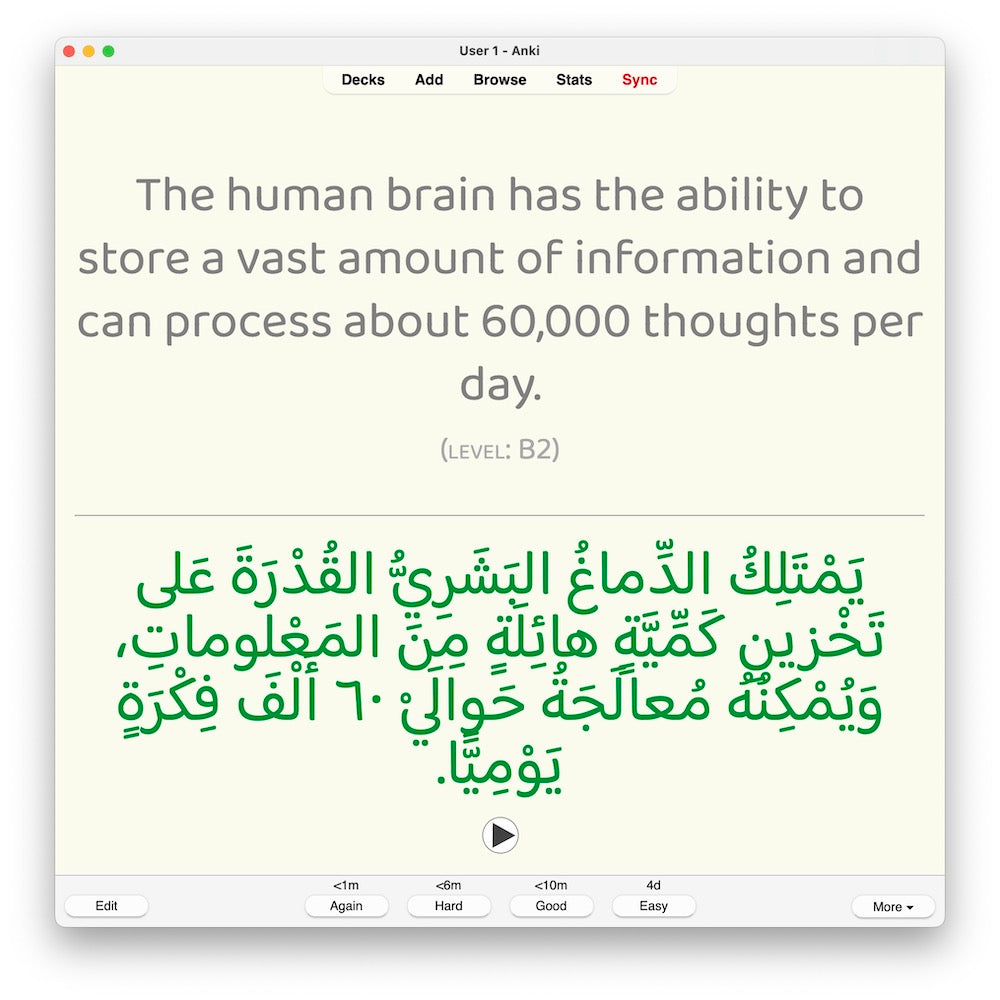 Random Modern Standard Arabic B2: Anki Flashcards