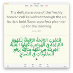 Random Modern Standard Arabic B2: Anki Flashcards