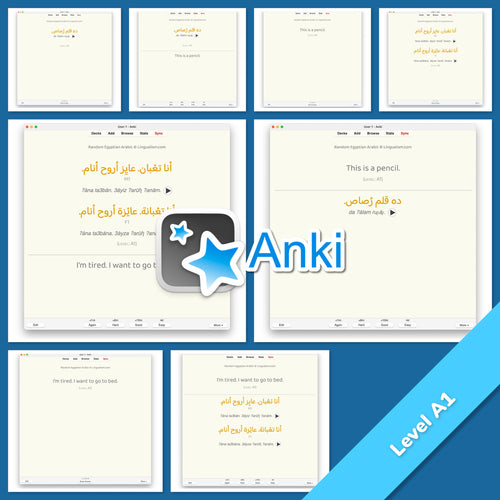 Random Egyptian Arabic Anki