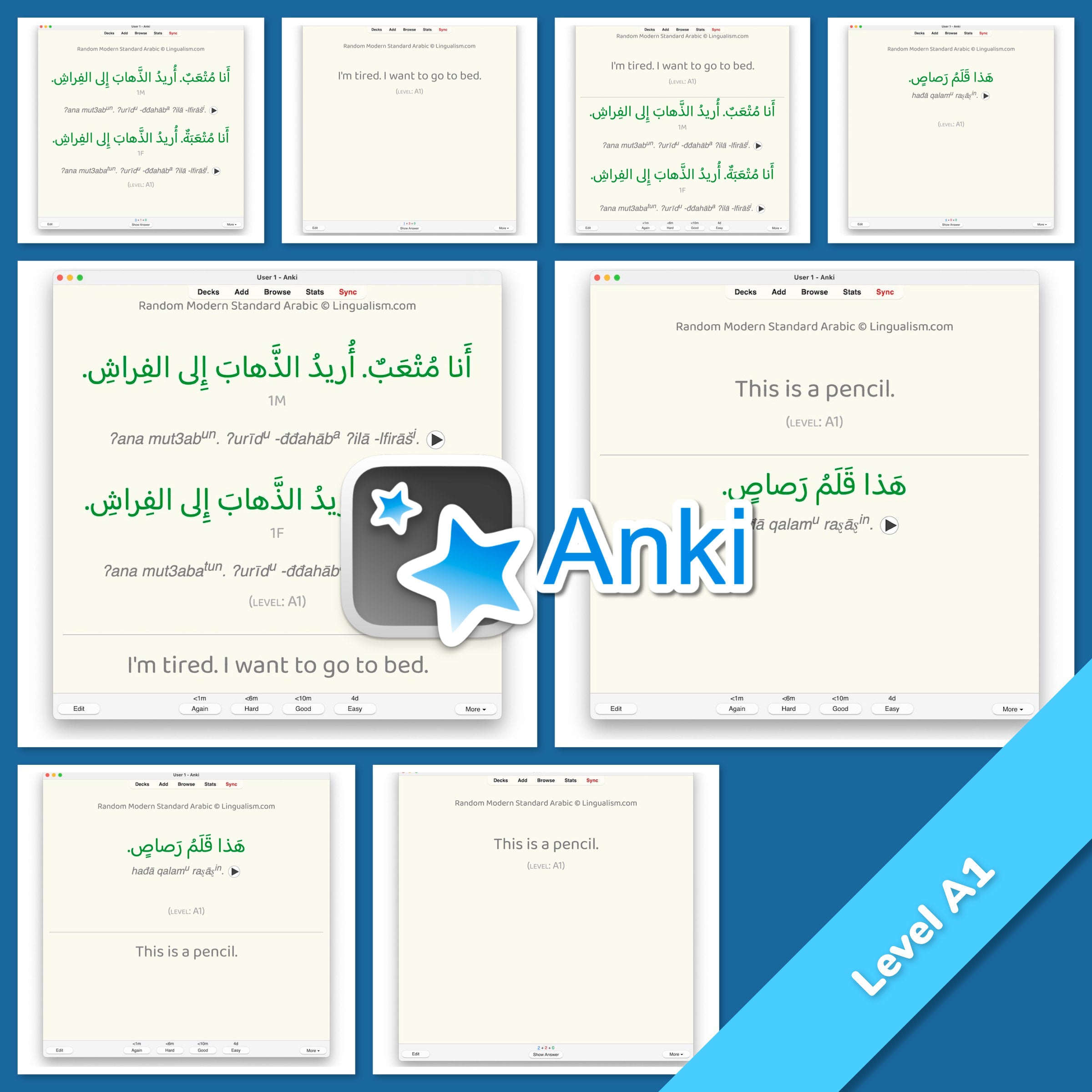 Random Modern Standard Arabic Anki