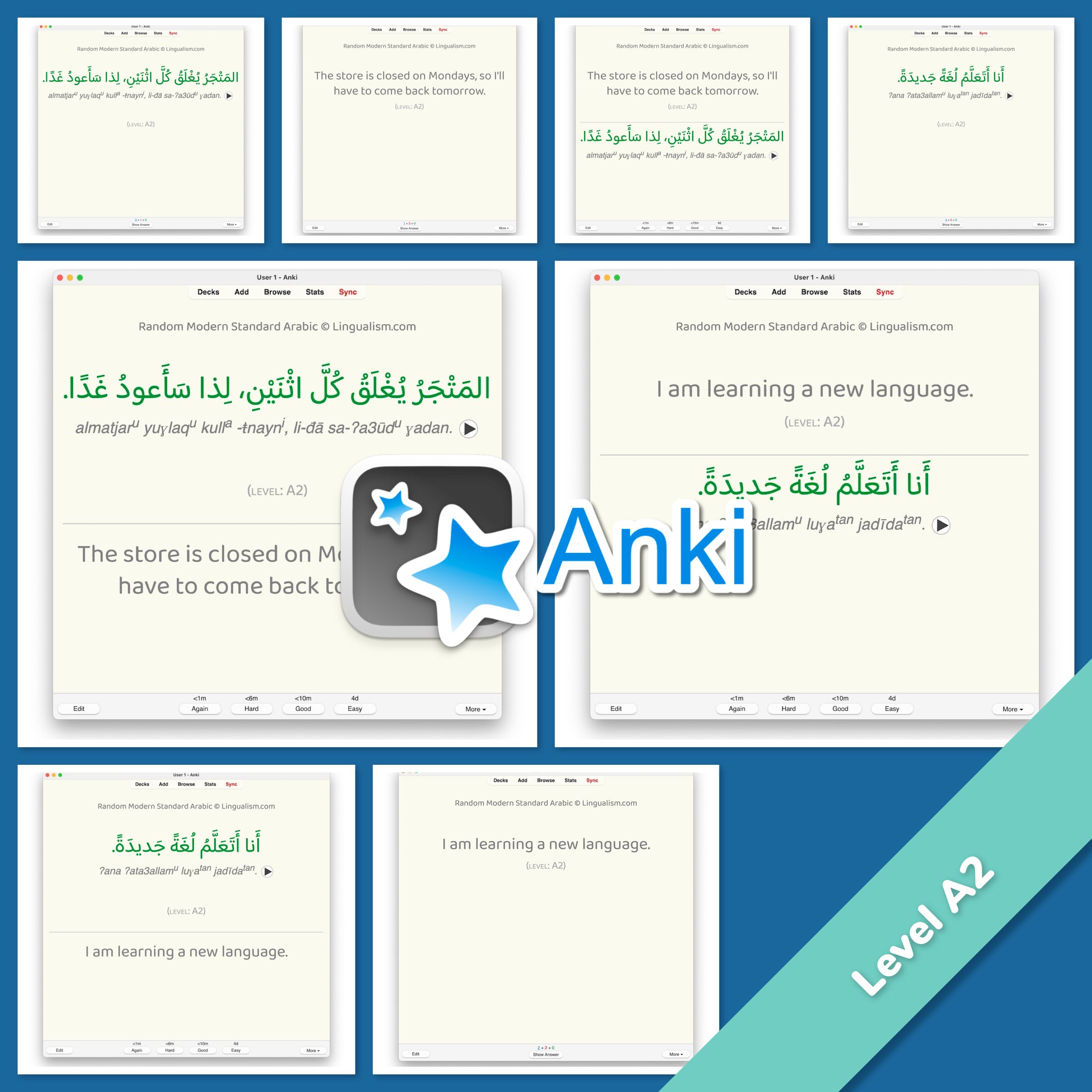 Random Modern Standard Arabic Anki