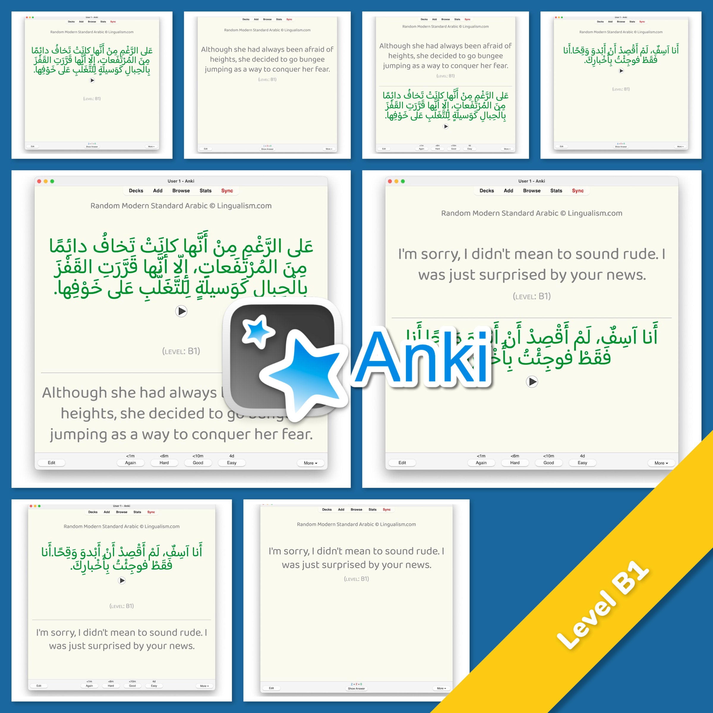 Random Modern Standard Arabic Anki