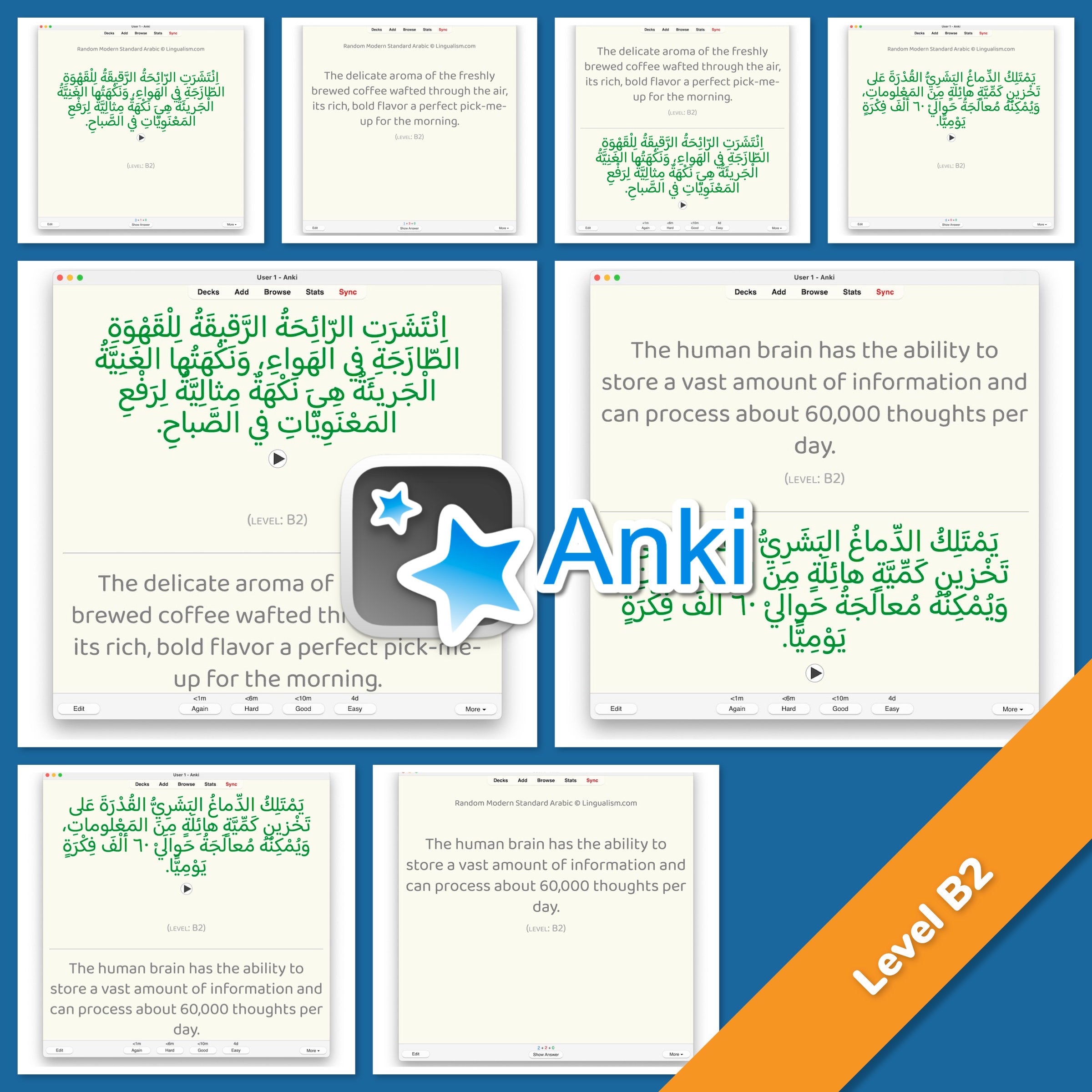 Random Modern Standard Arabic Anki
