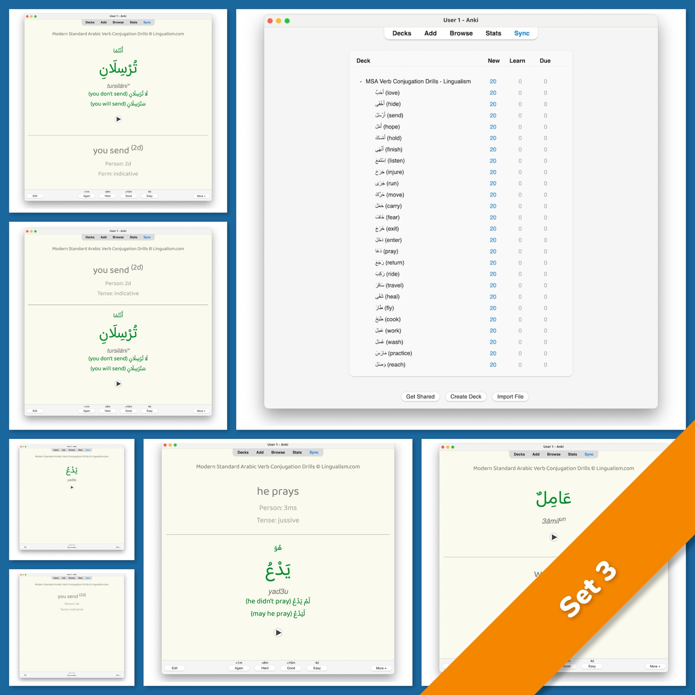 Modern Standard Arabic Verb Conjugation Drills: Anki Flashcards