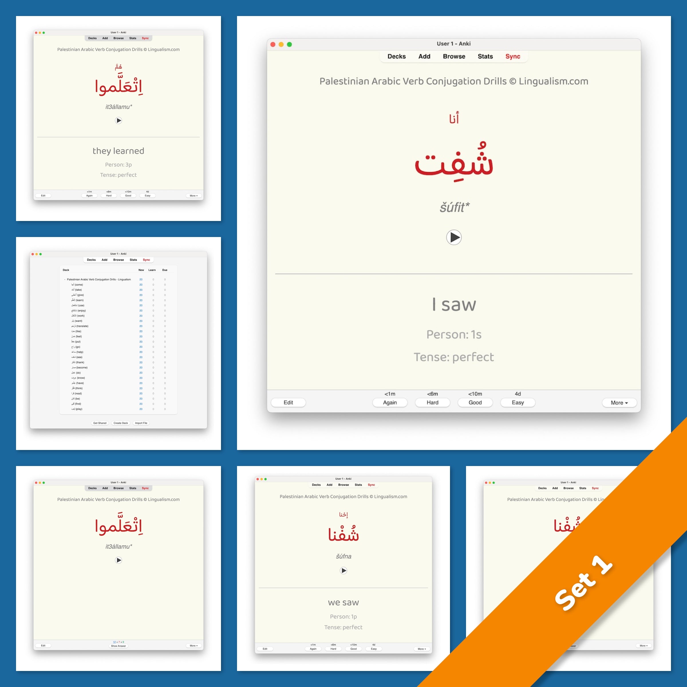 Palestinian Arabic Verb Conjugation Drills: Anki Flashcards