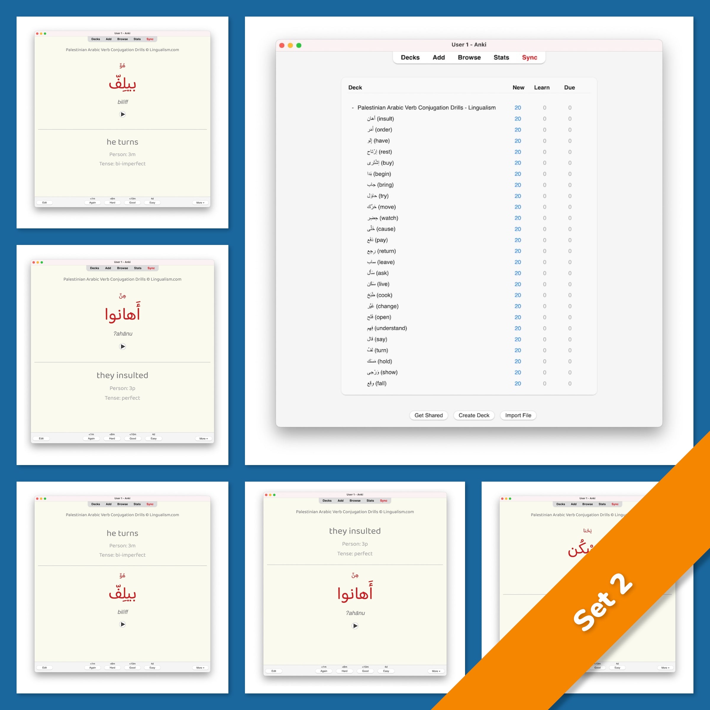 Palestinian Arabic Verb Conjugation Drills: Anki Flashcards