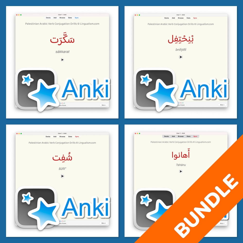 Palestinian Arabic Verb Conjugation Drills Bundle