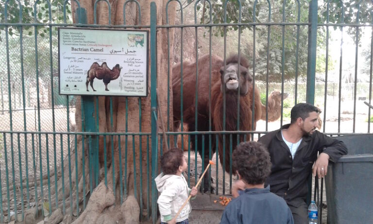 A Trip to the Zoo